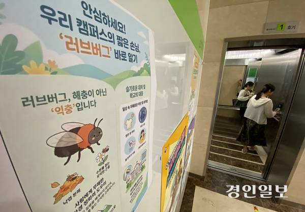 지난 18일 오후 인천시 계양구 경인여자대학교 게시판에 러브버그 대처 안내문이 부착되어 있다.