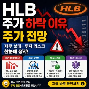 HLB 주가 하락 이유 주가 전망 재무 상태 투자 리스크 한눈에 정리 HLB 주가 하락 이유 주가 전망 재무 상태 투자 리스크 한눈에 정리