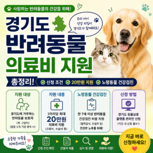 경기도 반려동물 의료비 지원 총정리 신청 조건 20만원 지원 노령동물 건강검진 경기도 반려동물 의료비 지원 총정리 신청 조건 20만원 지원 노령동물 건강검진